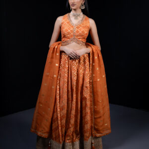 Lehenga: Orange Silk Bandini with Gold Embroidery