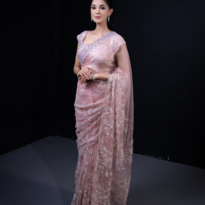 Sari: Soft Pink with Embellishings with Iridescent Blouse