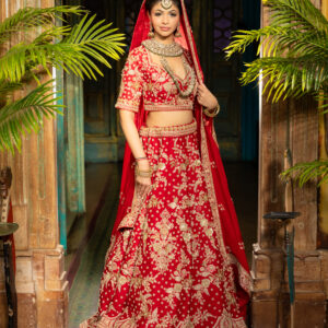 Heritage Luxe: Red with Gold Embroidery & Embellishments & Floral Motifs with Blouse & Dupatta